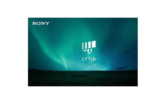 地三鲜是哪三鲜（正宗地三鲜是哪三鲜）