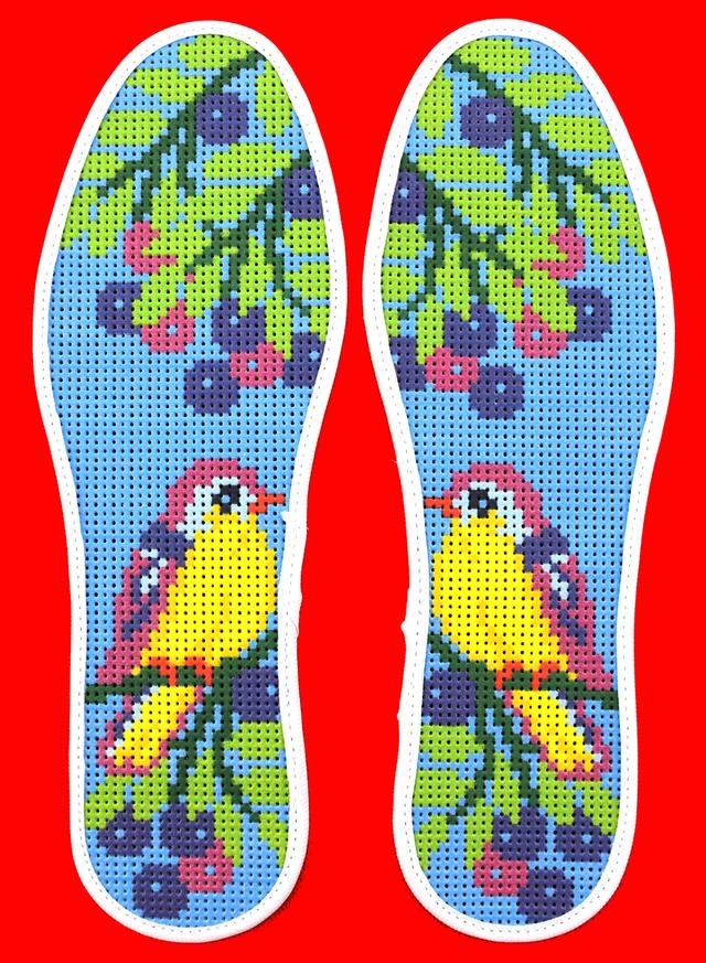 民间老式刺绣鞋垫图案（吉事的卜祀图样）(1)