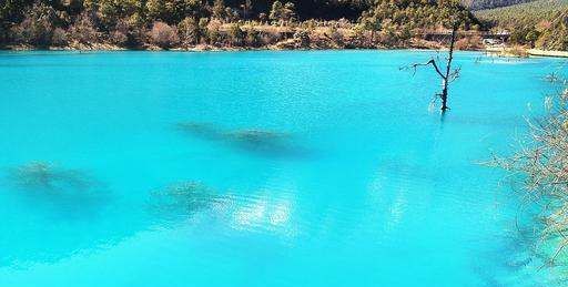 蓝月谷的寓意,蓝月谷为什么是蓝色的图1