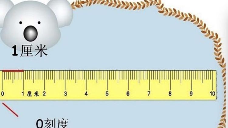 一米等于三尺一尺等于多少寸