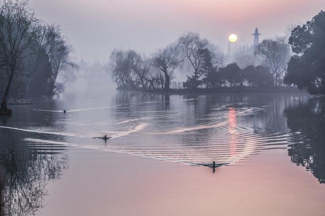 公墓使用年限已解决（公墓的使用期限只有20年）(2)