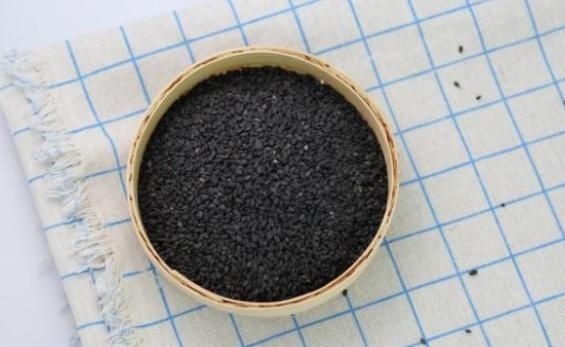 母猫可以吃黑芝麻吗