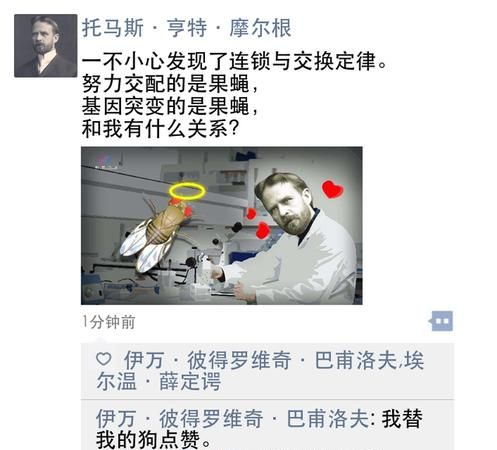 反凡尔赛文学什么梗