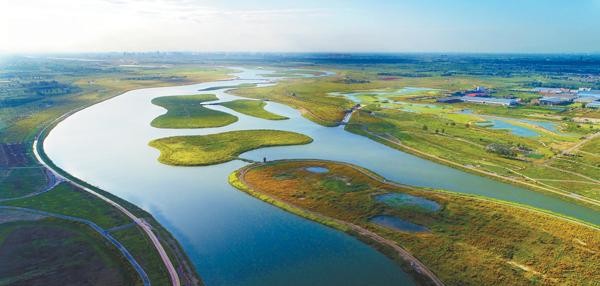 石家庄之歌杨辉（关于石家庄的歌盘点介绍）