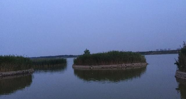 石家庄之歌杨辉（关于石家庄的歌盘点介绍）