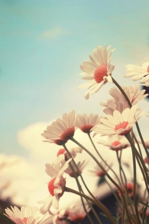 最新qq爱情个性说说大全