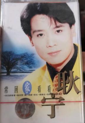 常回家看看陈红年轻时的盛世容颜（掏空丈夫12亿财产）(16)