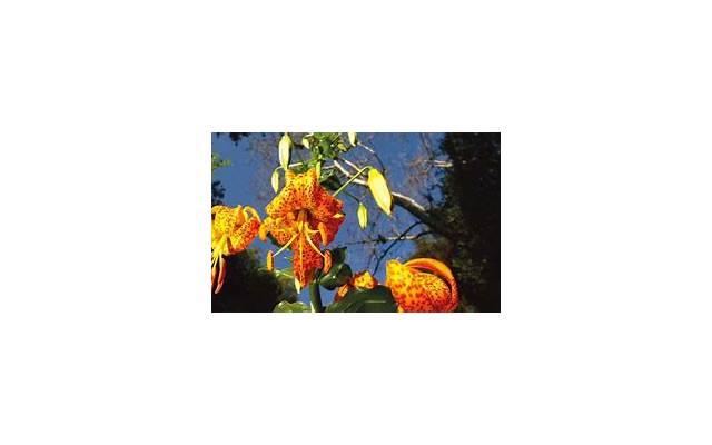 失去了才知道珍惜,但已经来不及了