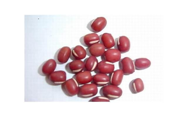 男性食用力鼎丸是否对提高肾功能有效? 男性食用力鼎丸是否对提高肾功能有效?