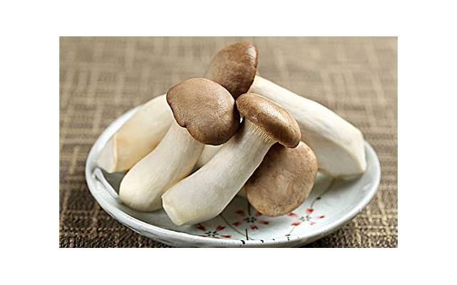 力克爽睡眠贴的功效评估