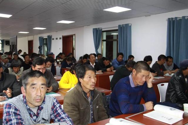 新手怎么开微店全攻略（史上最简单的开微店教程）(6)