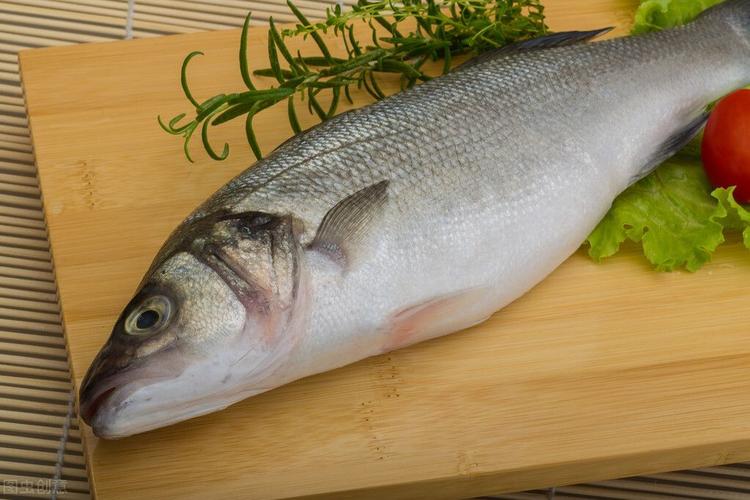 鲈鱼是海鱼还是淡水鱼（鲈鱼简单介绍）